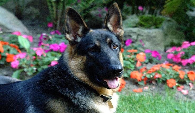Gunnar with flowers